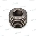 PAF25-05010104A - Plug
