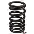 Parsun F115 Valve Spring