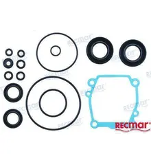 Lower Unit Seal Kit DF 60/70 01-07