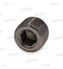 PAF25-05010104A - Plug - rear view right