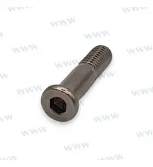 PAF115-07000103- Bolt