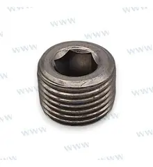 PAF25-05010104A - Plug