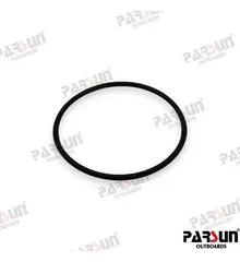 PAJASO-F404-31-068- O-RING 67.8X3.1
