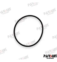 PAJASO-F404-31-068- O-RING 67.8X3.1- top view