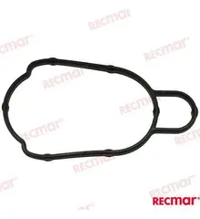 ​Shift Rod Guide Housing Seal DF300A