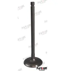 Parsun F115 Intake Valve