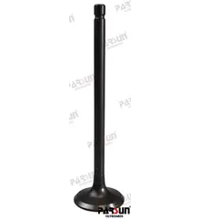 Parsun F115 Exhaust Valve