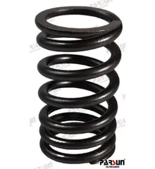 Parsun F115 Valve Spring