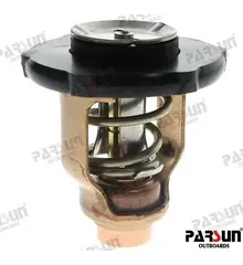 Parsun Thermostat PAF115-05000032