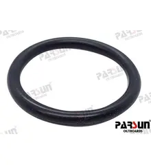 Parsun O-Ring PAJASOF40431-025
