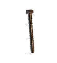 Yamaha / Parsun Bolt M6X55 (97595-06555)