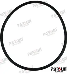 O-RING - PAF20-04060002E