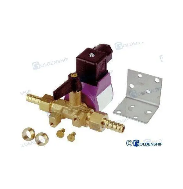FUEL ELECT-VALVE SOLENOID 12V 8-10 mm.