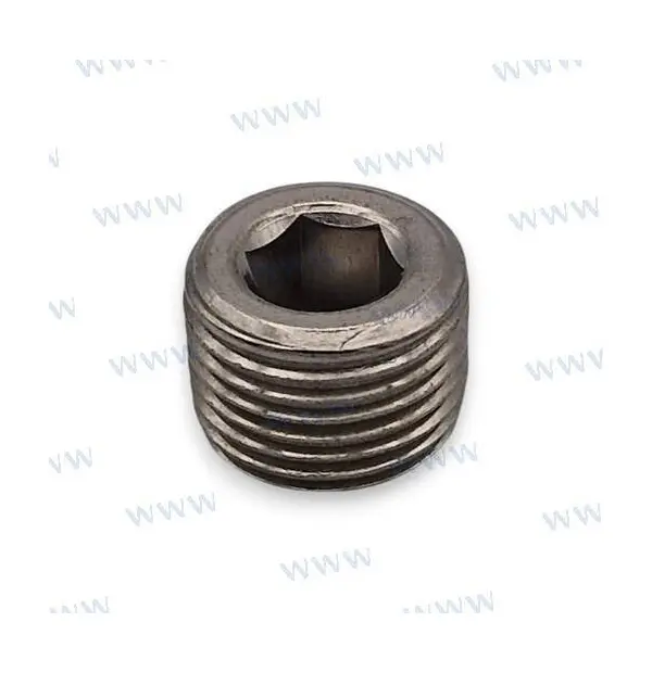 PAF25-05010104A - Plug