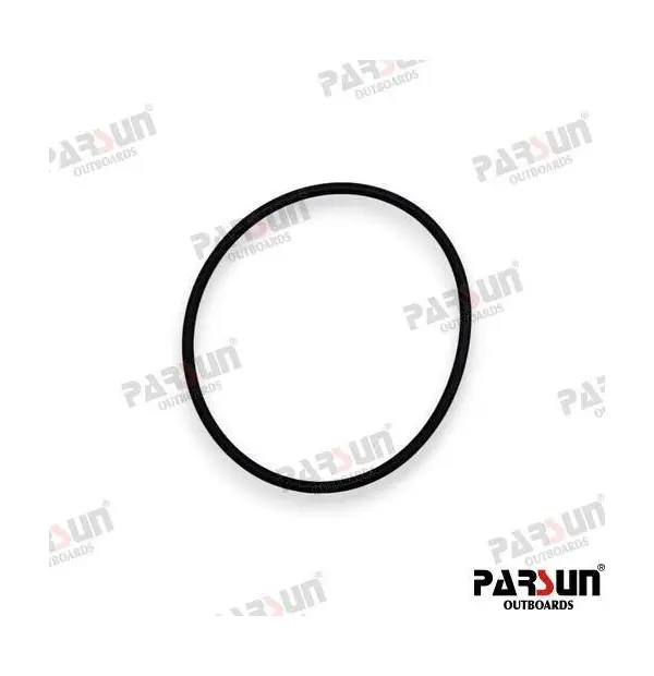 PAJASO-F404-31-068- O-RING 67.8X3.1- top view