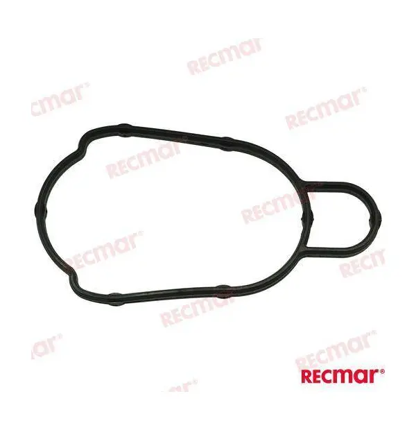 ​Shift Rod Guide Housing Seal DF300A