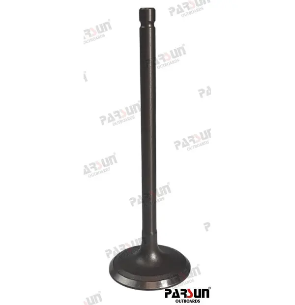 Parsun F115 Intake Valve